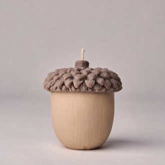 Autumn Acorn