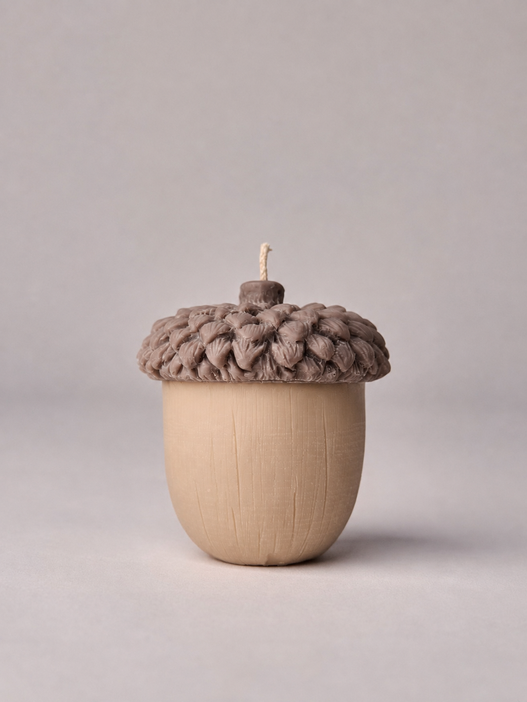 Autumn Acorn
