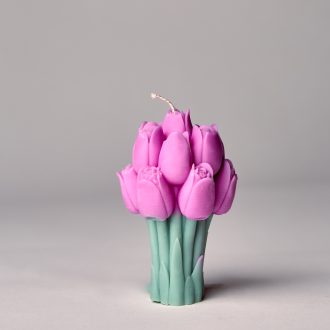 Blooming Tulips