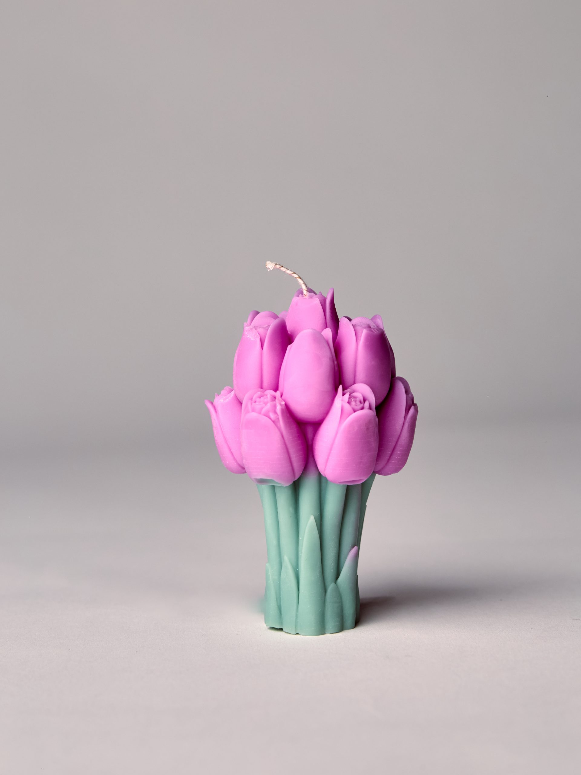 Blooming Tulips